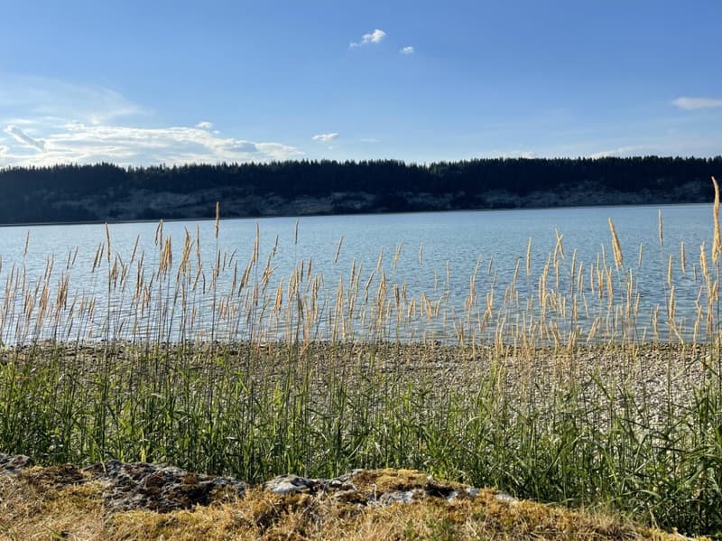 Le privilège d'une première ligne face au lac (21)
