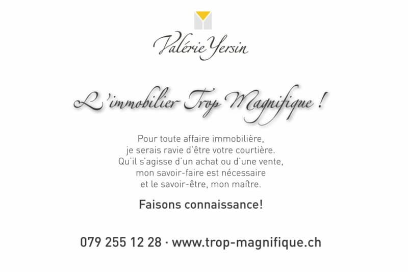 Attique de 2,5 p rénové libre de suite ! (8)