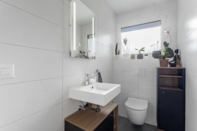 Accord parfait entre luxe et nature (6)