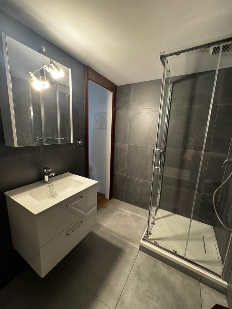 Magnifique appartement de 4,5 pièces avec cheminée au cœur du Locle (5)