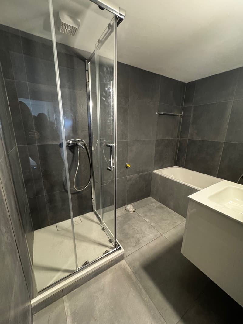Magnifique appartement de 4,5 pièces avec cheminée au cœur du Locle (4)