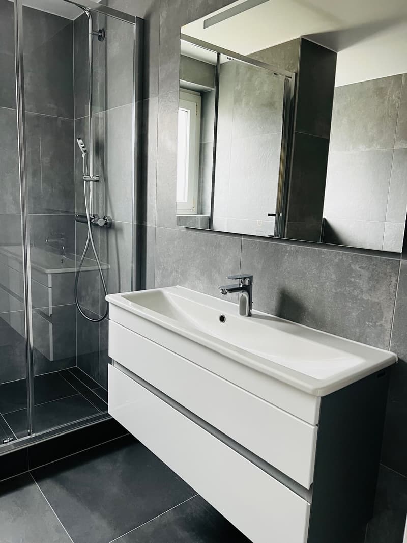 Grand appartement 3.5 pièces avec balcon 10m2, place de parc (6)