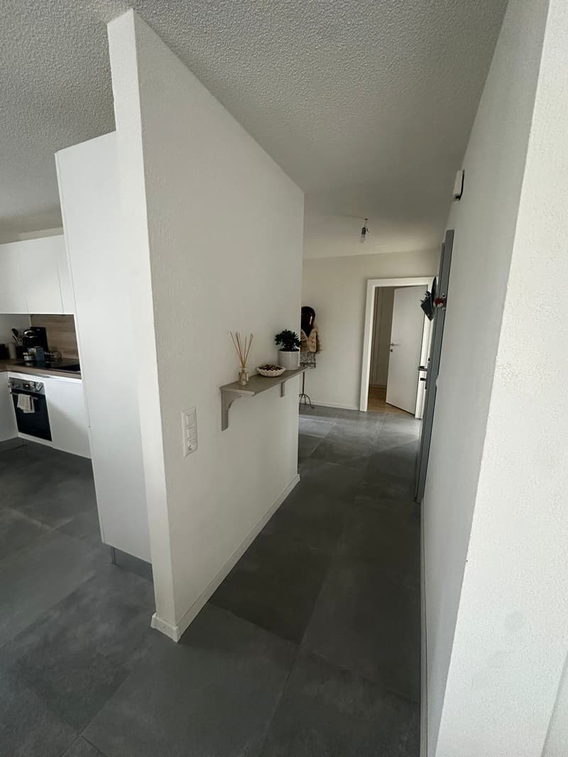 Grand appartement 3.5 pièces avec balcon 10m2, place de parc (4)