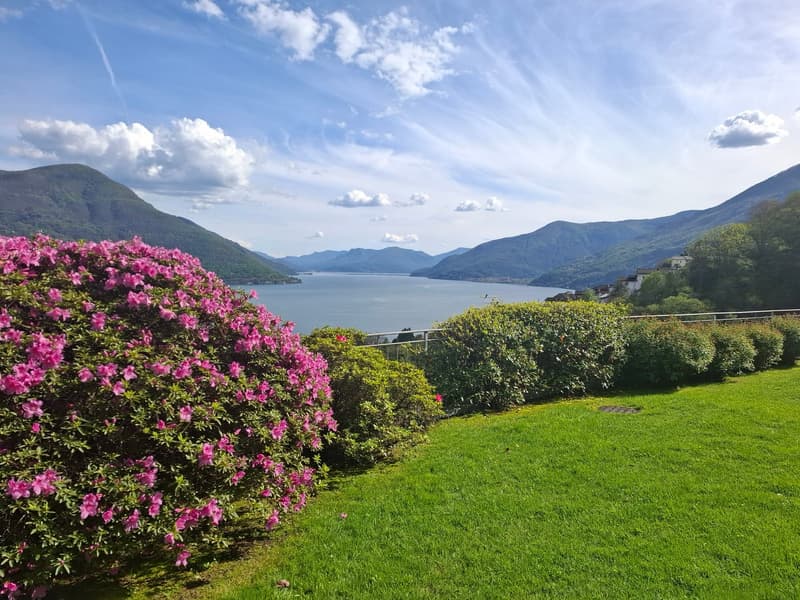 Maison avec vue spectaculaire à  Brissago, Tessin (3)