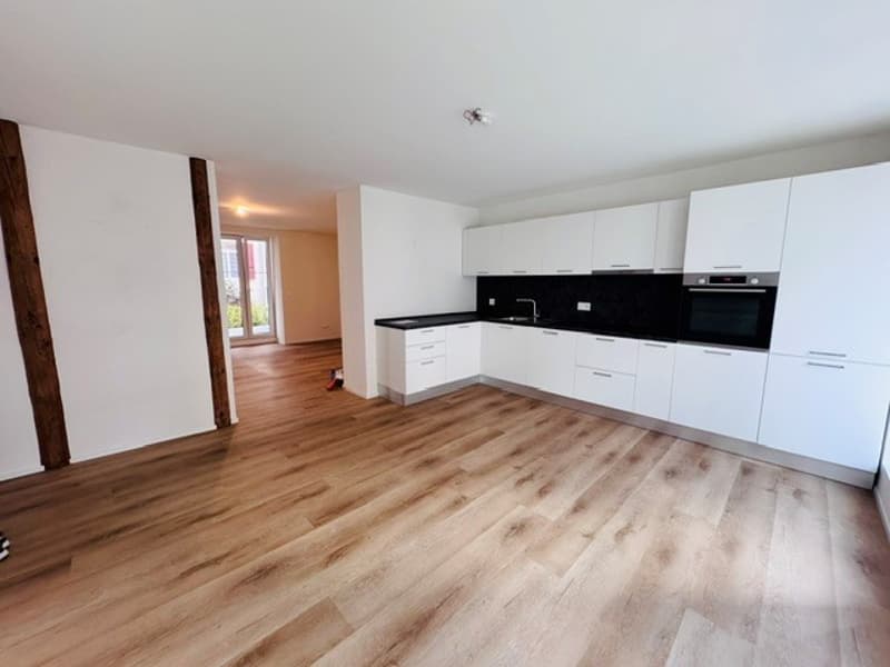 Magnifique appartement de 4.5 pces avec terrasse privée (2)