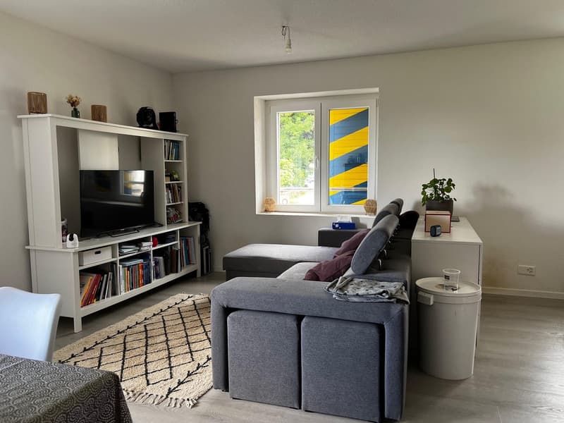 Magnifique loft avec jardin privé (5)