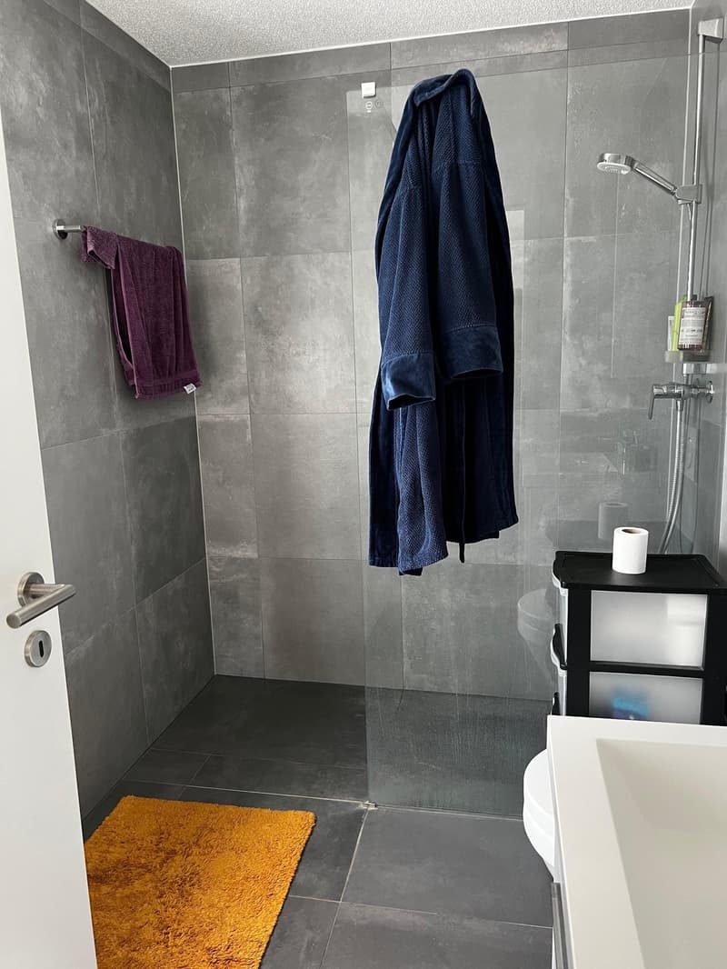 Magnifique loft avec jardin privé (8)