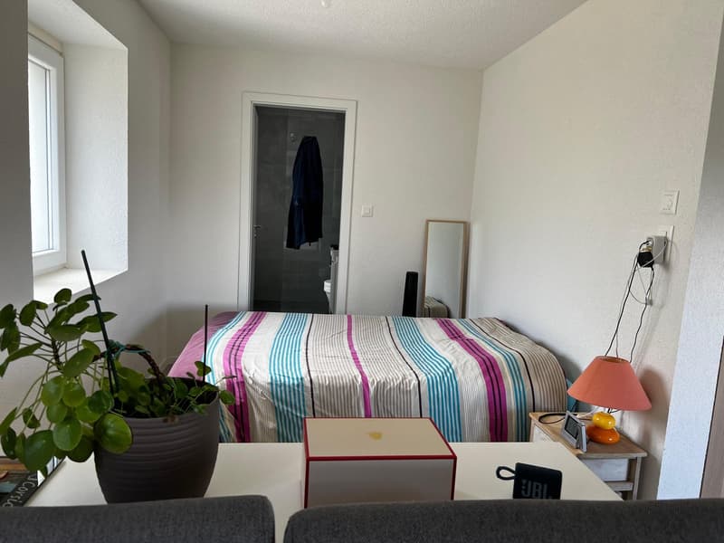 Magnifique loft avec jardin privé (6)