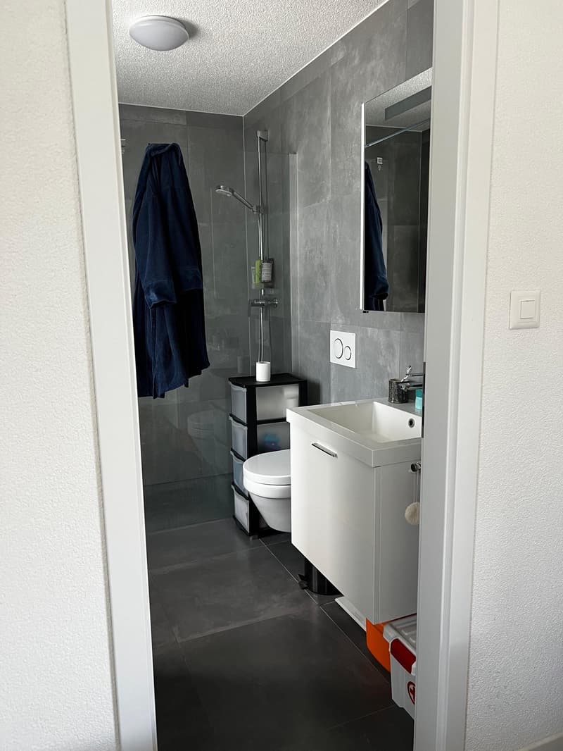 Magnifique loft avec jardin privé (7)