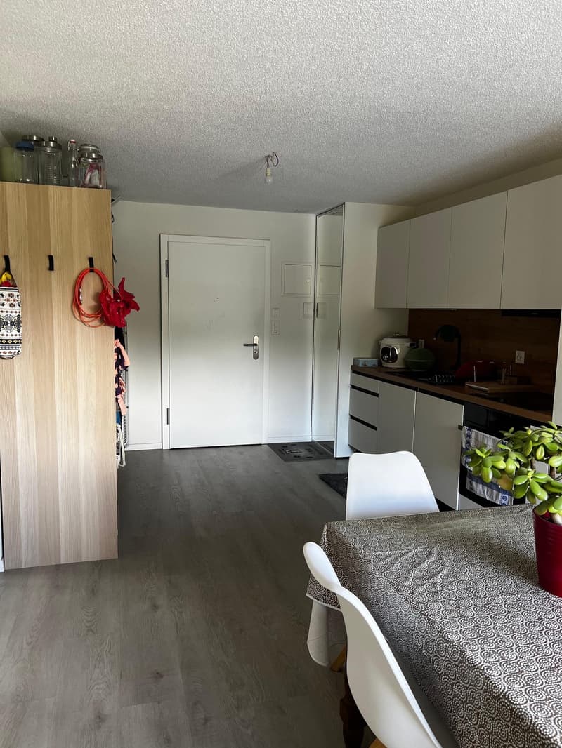 Magnifique loft avec jardin privé (2)
