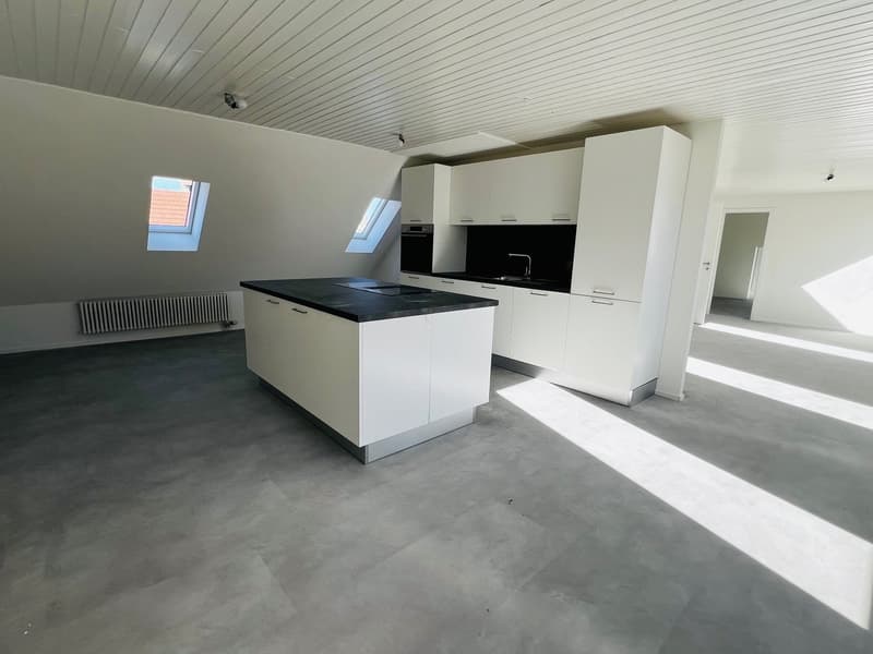 Très grand 2.5 pièces de 80m2 (1)