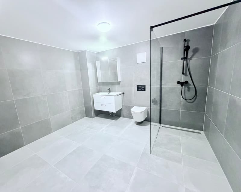Splendide appartement de 3.5 pces (4)