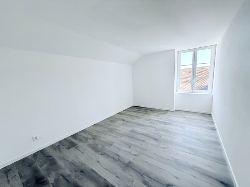 Splendide appartement de 3.5 pces (5)