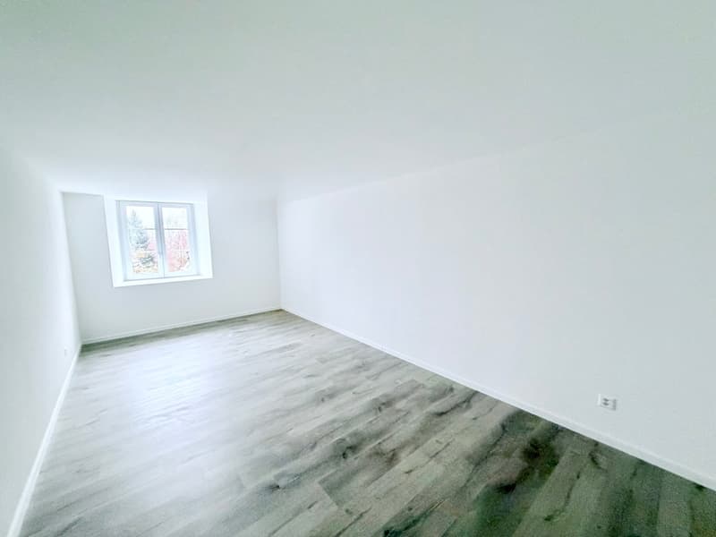 Splendide appartement de 2.5 pces (3)