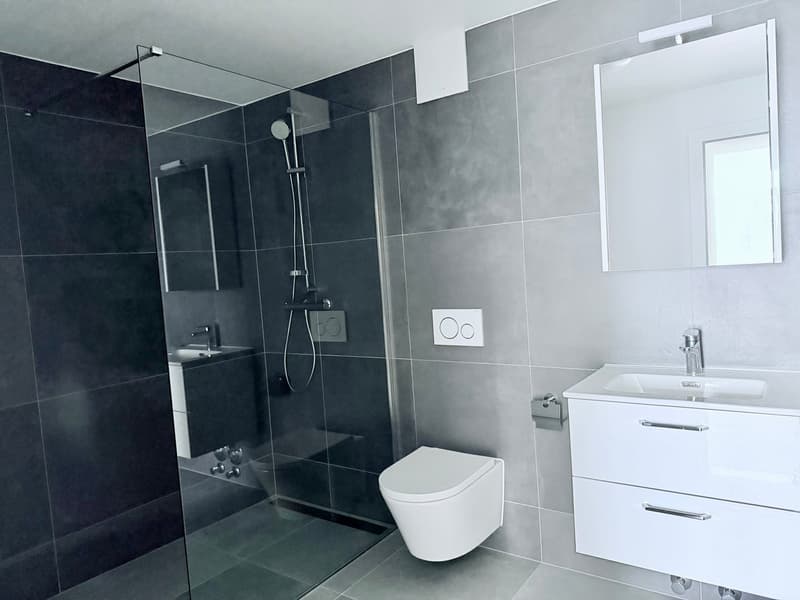 Splendide appartement de 2.5 pces (4)