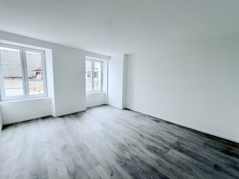 Splendide appartement de 4.5 pces (3)