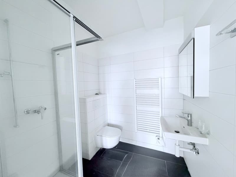 Splendide appartement de 4.5 pces (6)