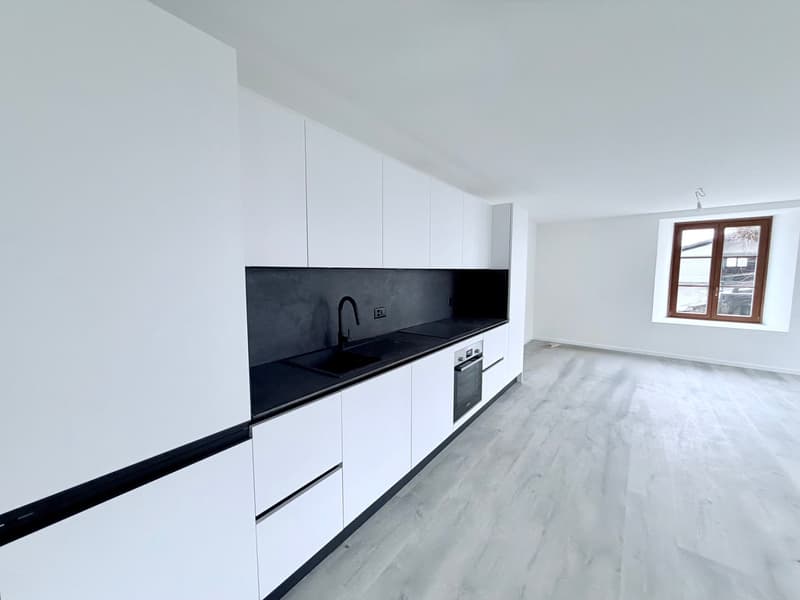 Splendide appartement de 3.5 pces (1)