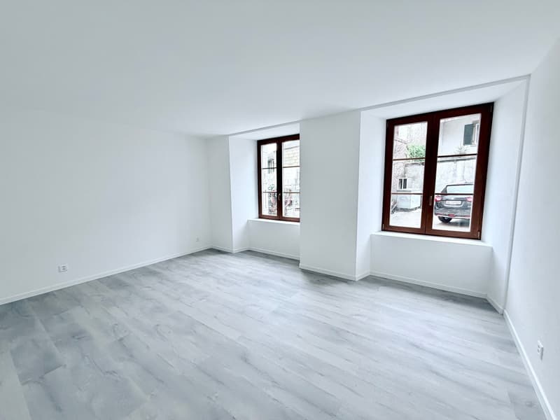 Splendide appartement de 3.5 pces (3)