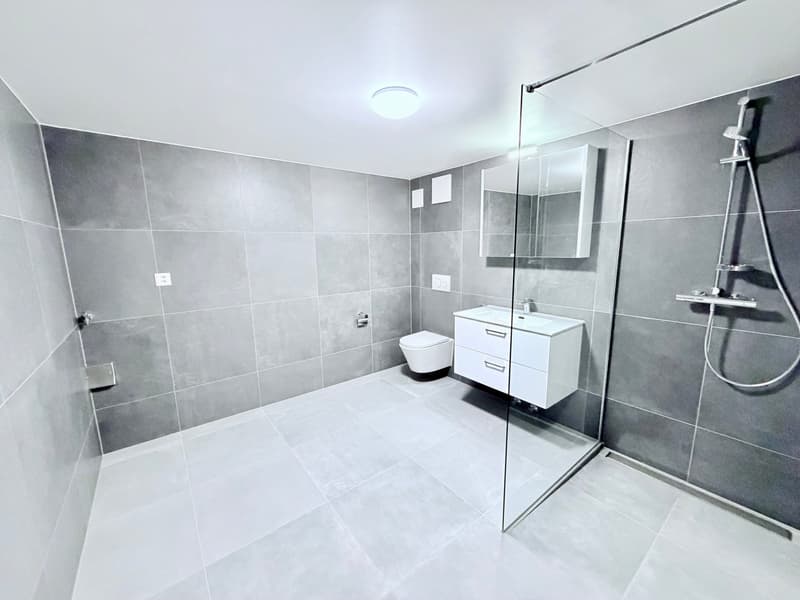 Splendide appartement de 3.5 pces (5)