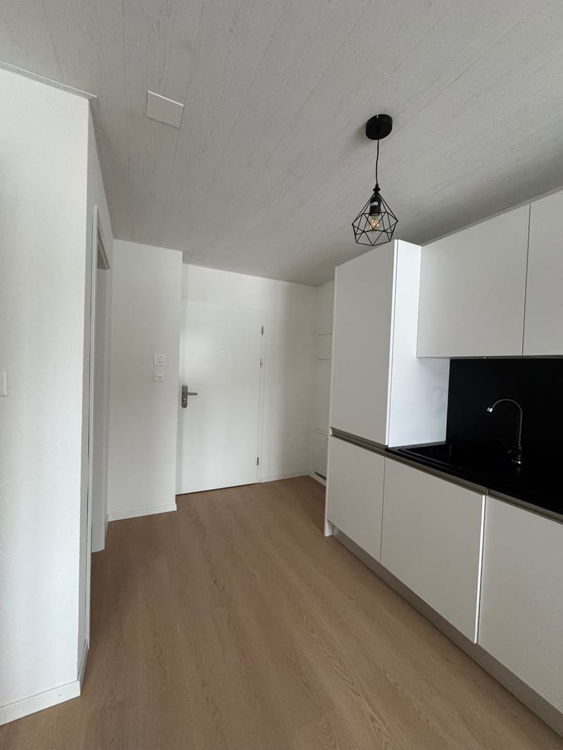 Magnifique studio meublé (3)