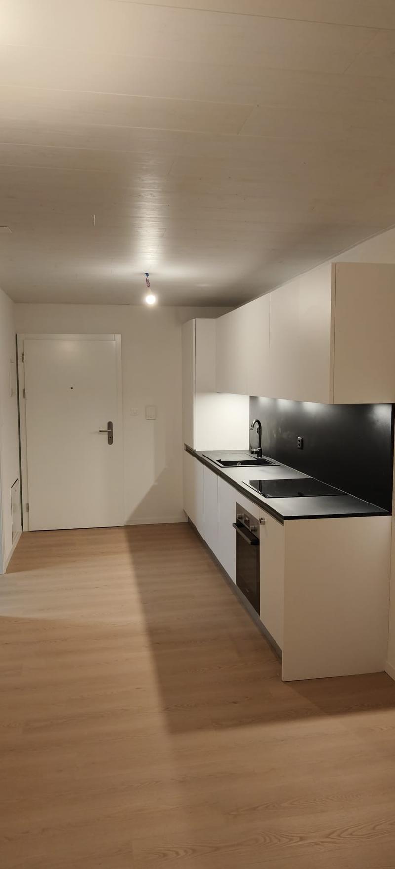 Grand appartement lumineux de 2,5 pièces (1)