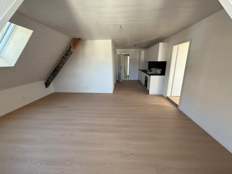 Grand appartement lumineux de 2,5 pièces (4)
