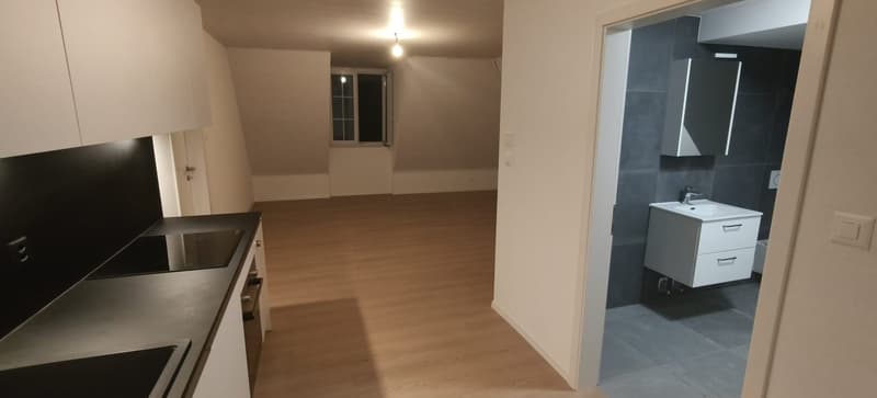 Grand appartement lumineux de 2,5 pièces (2)