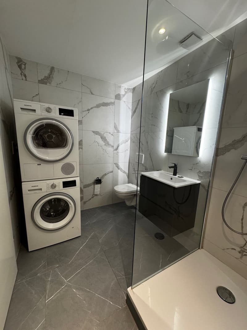 Magnifique appartement 2.5 pces (7)