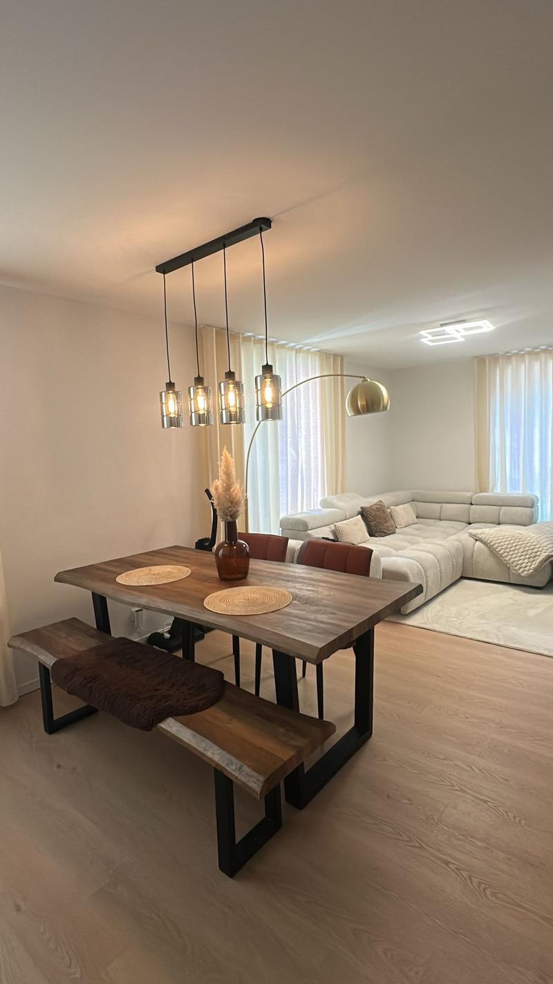 Magnifique appartement de 4.5 pièces avec petit balcon et terrasse commune (2)