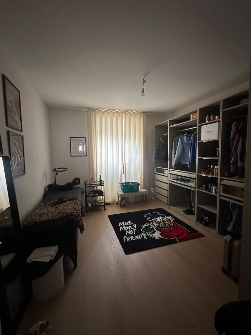 Magnifique appartement de 4.5 pièces avec petit balcon et terrasse commune (9)