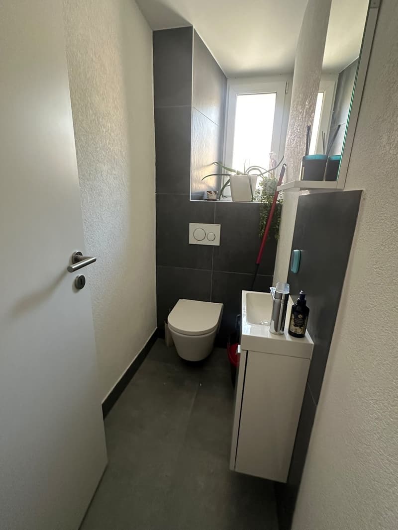 Magnifique appartement de 4.5 pièces avec petit balcon et terrasse commune (8)