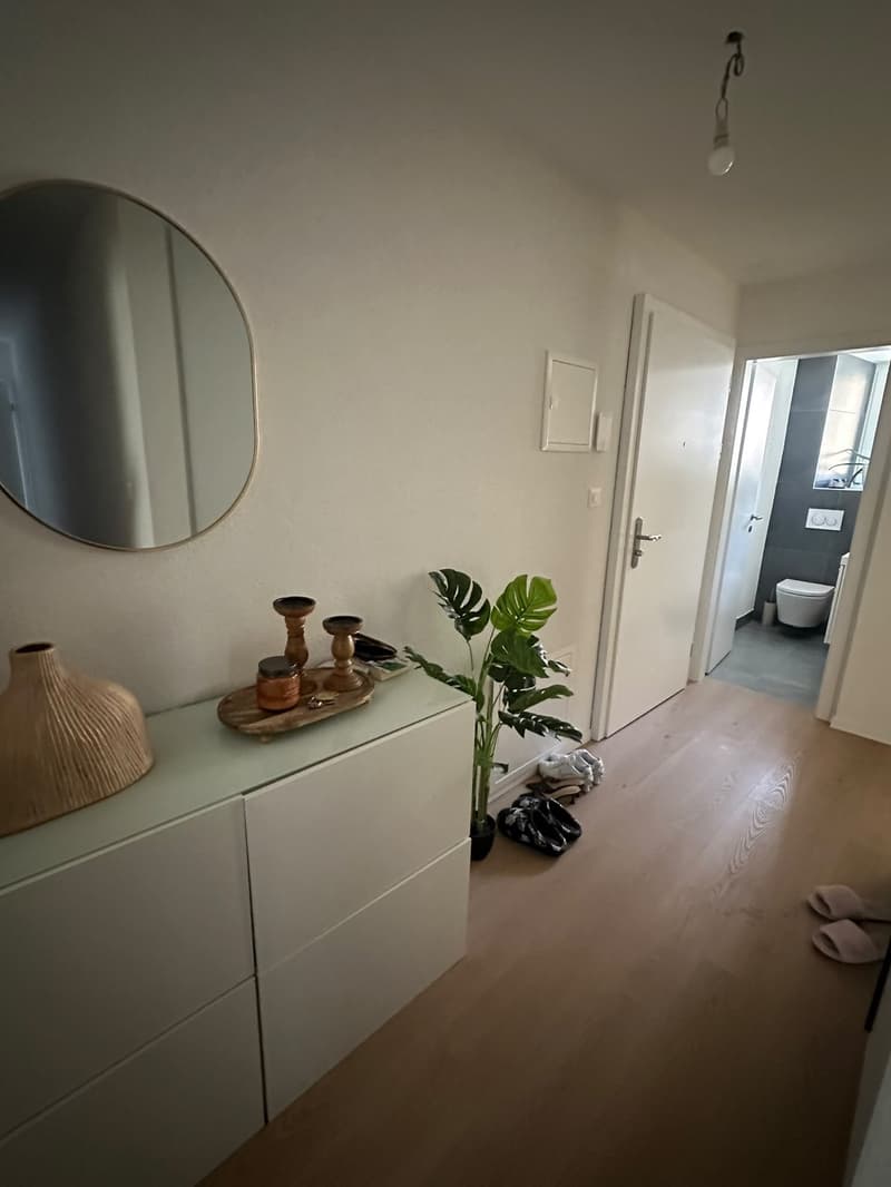 Magnifique appartement de 4.5 pièces avec petit balcon et terrasse commune (6)
