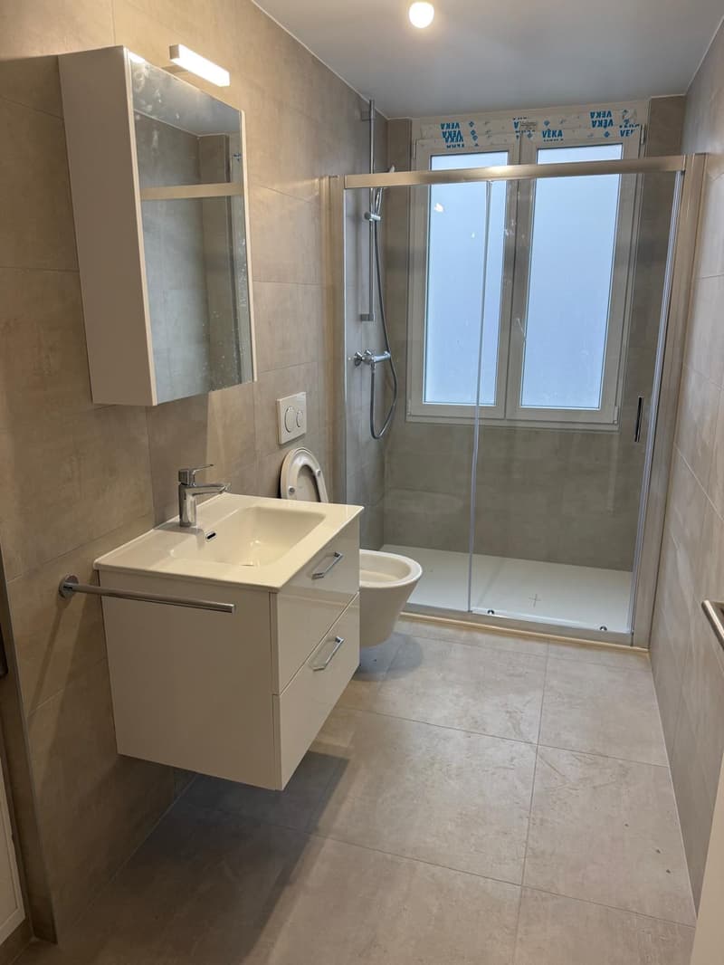 Appartements 4.5 pièces rénovés à La Chaux-de-Fonds (6)