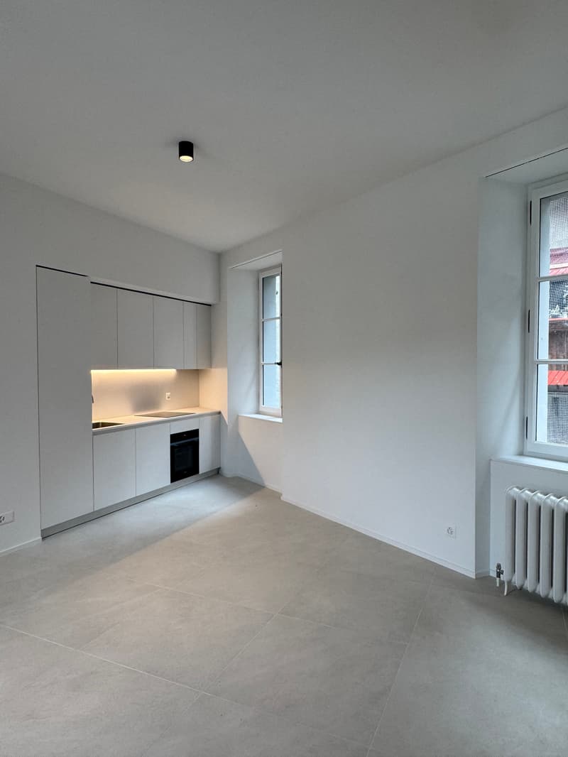 charmant 2.5 pièces neuf dans bâtiment historique dans le coeur de Moudon (5)