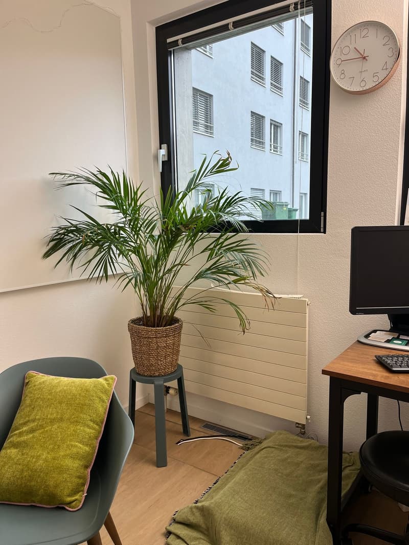A room with a desk, chair, plant, and clock on the wall.