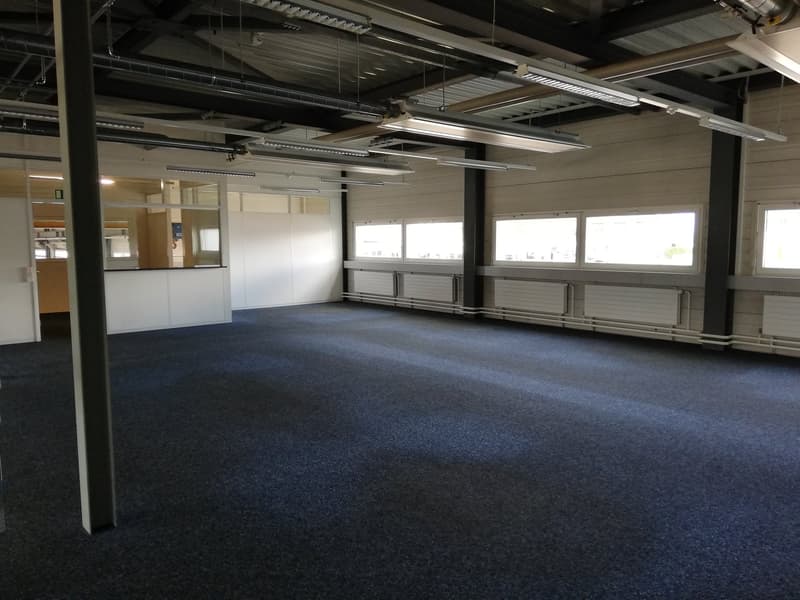 Large open room with blue carpet, office in corner, windows, fluorescent lights