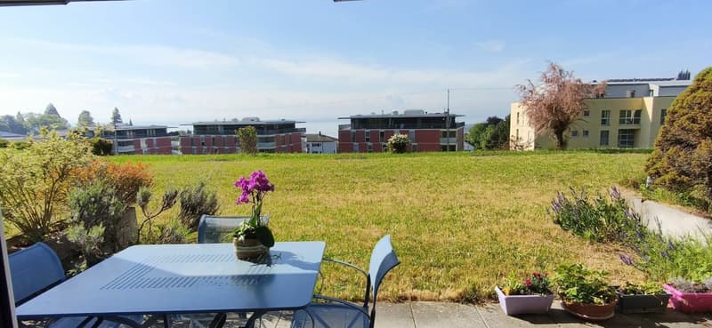 Appartement de 2.5 p. avec terrasse et jardin (2)