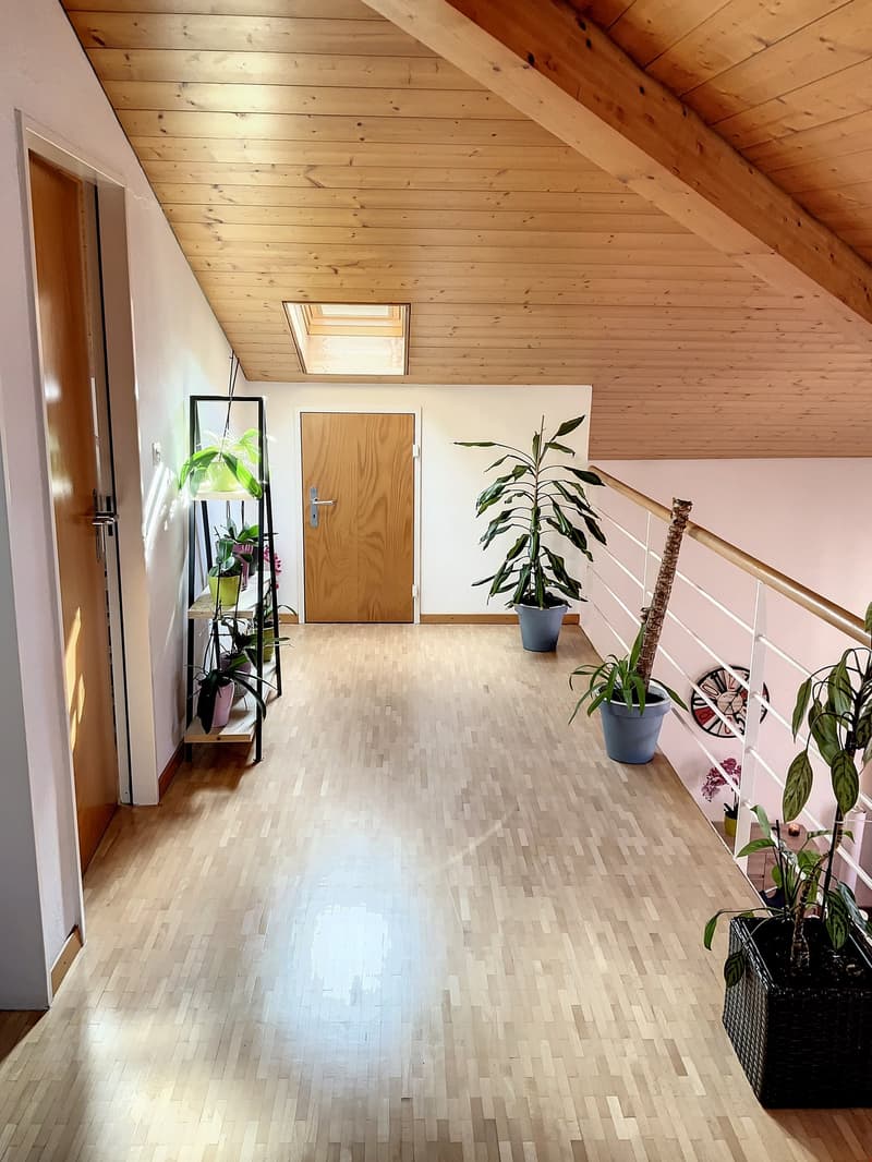 wooden floor, wooden ceiling, hanging plant stand, potted plants on balcony