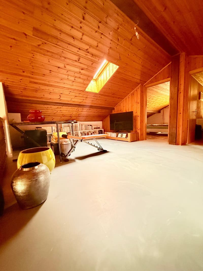 Wooden walls, white ceiling, large windows, white floor, exercise equipment, television, bookcase, vases