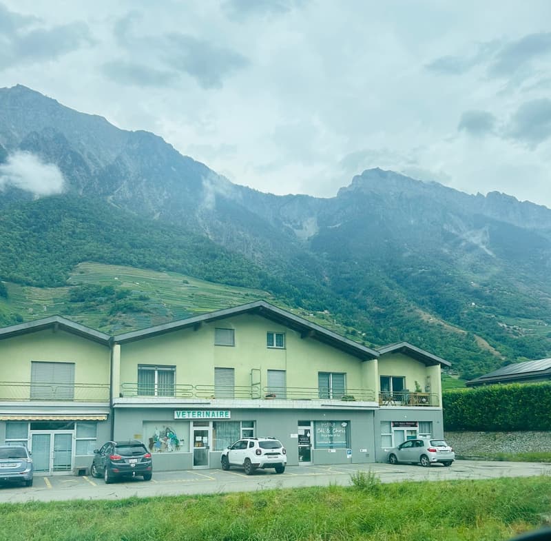 Superbe opportunité - Appartement de 4.5 pièces à Fully (1)