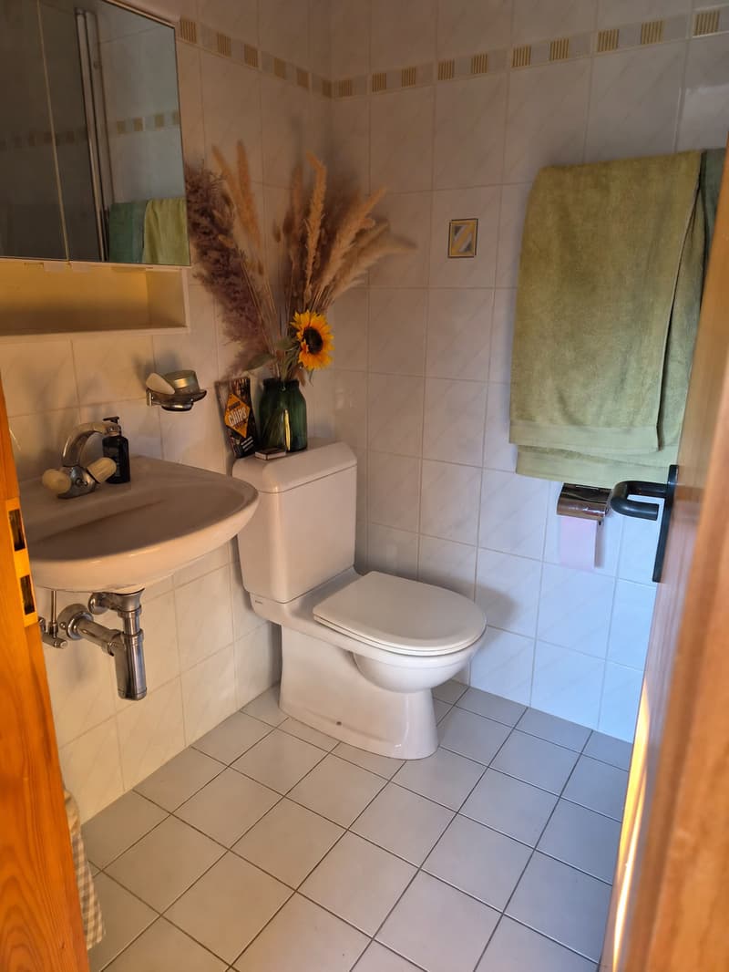 A SAISIR : Charmant studio à louer à Martigny-Croix (5)