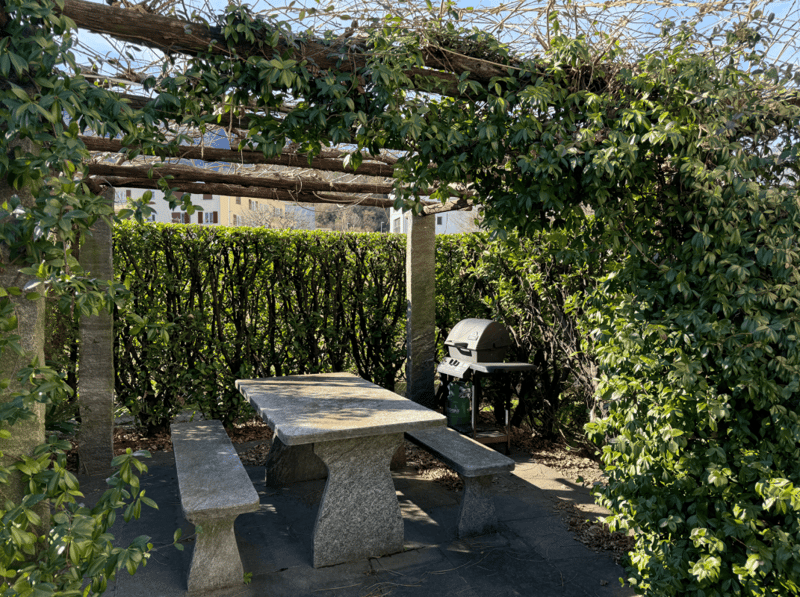 3.5-Zimmer-Gartenwohnung mit Garage in Losone (2)