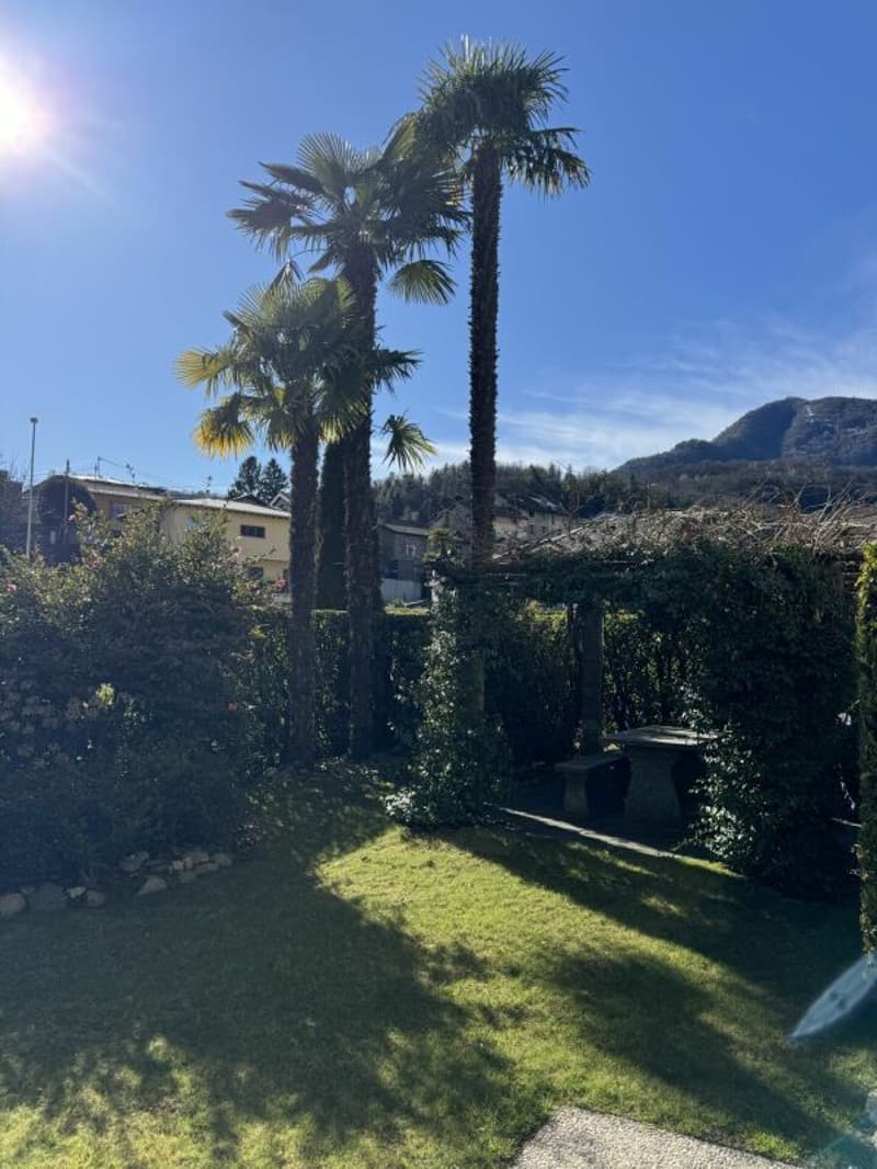3.5-Zimmer-Gartenwohnung mit Garage in Losone (5)