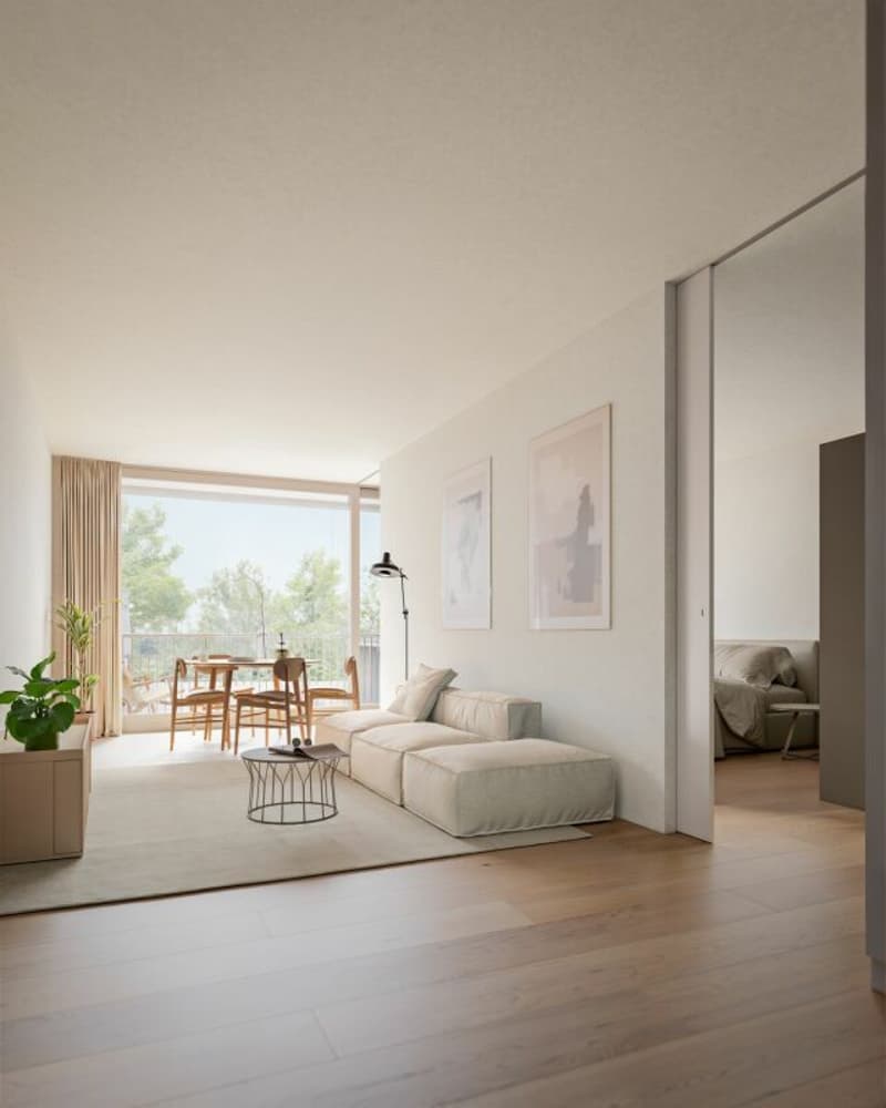 2.5-Zimmer Eigentumswohnung in Binningen (2)