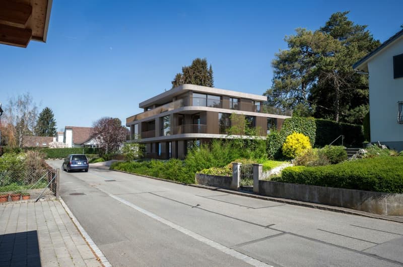 2.5-Zimmer Eigentumswohnung in Binningen (5)