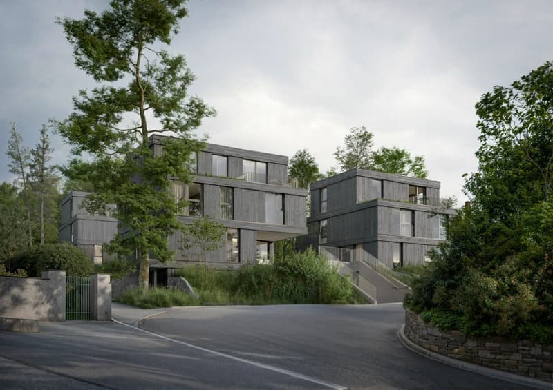 Am Ausserberg 5.5-Zimmer Einfamilienhaus (4)