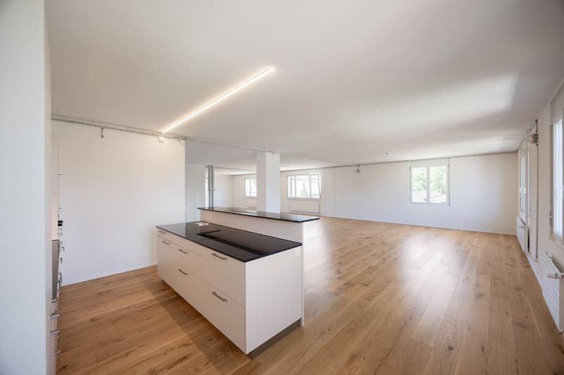 Spacious 4.5-room loft apartment in a quiet location in Lotzwil (8)