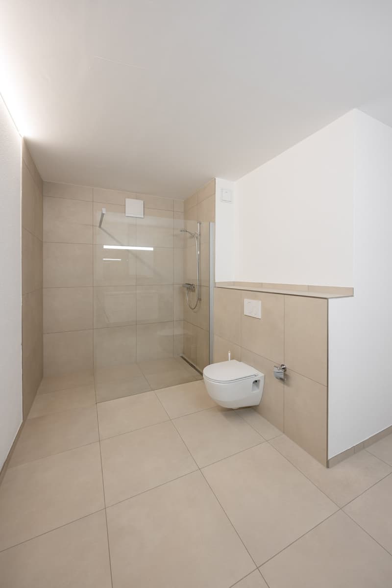 Spacious 4.5-room loft apartment in a quiet location in Lotzwil (13)