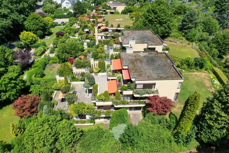 Ruhe, Natur und Privatsphäre - grosszügiges Terrassenhaus im Etzlibergquartier (10)